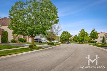 Neuberry Ridge subdivision in Lockport, IL
