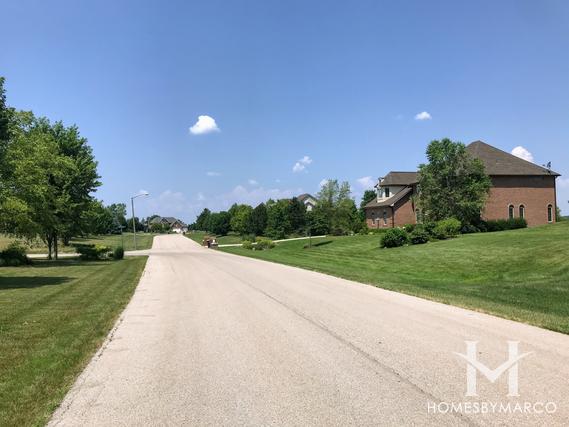 Old Reserve Hills subdivision in Oswego, IL