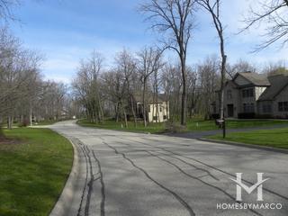 Martin Woods subdivision in McHenry, IL
