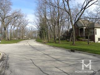 Martin Woods subdivision in McHenry, IL