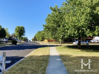 Trails Of Winding Creek