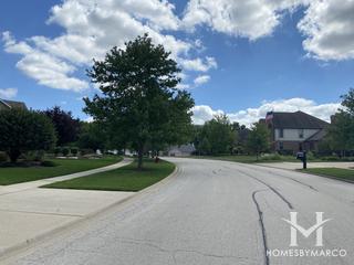 Tall Grass Preserves subdivision in Mokena, IL