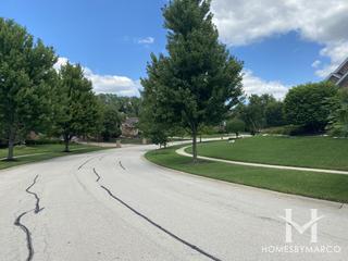 Tall Grass Preserves subdivision in Mokena, IL