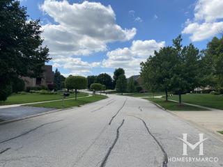 Tall Grass Preserves subdivision in Mokena, IL