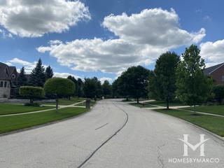 Tall Grass Preserves subdivision in Mokena, IL