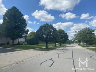 Old Castle South subdivision in Mokena, IL