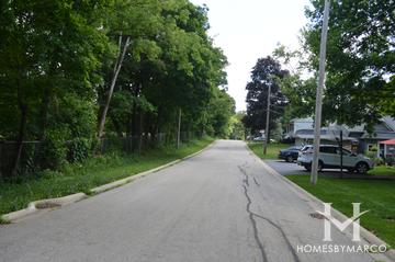 Ravine Slope subdivision in Mundelein, IL