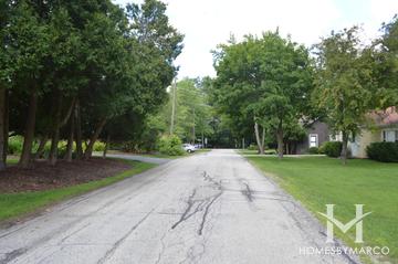 Ravine Slope subdivision in Mundelein, IL