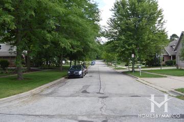 Ravine Slope subdivision in Mundelein, IL
