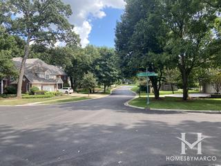 Woods Of Rivermist subdivision in Naperville, IL