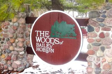 Woods of Bailey Hobson subdivision in Naperville, IL