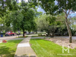 Woods of Bailey Hobson subdivision in Naperville, IL