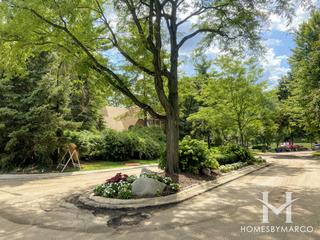 Woods of Bailey Hobson subdivision in Naperville, IL