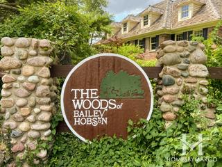 Woods of Bailey Hobson