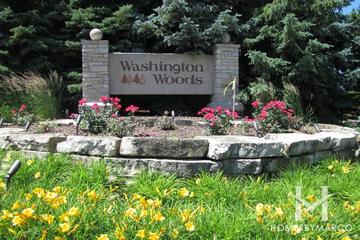 Washington Woods