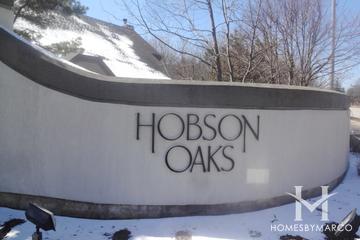 Hobson Oaks subdivision in Naperville, IL