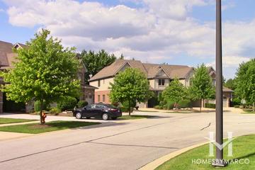 Chestnut River Point subdivision in Naperville, IL