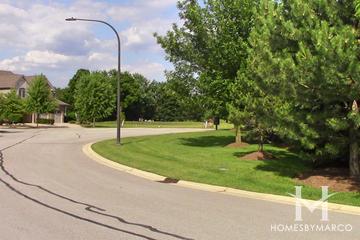 Chestnut River Point subdivision in Naperville, IL