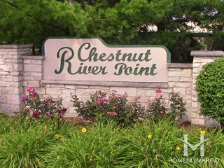 Photos of Chestnut River Point subdivision in Naperville, IL