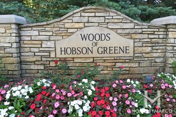 Woods of Hobson Green subdivision in Naperville, IL
