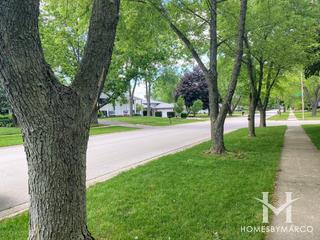 Windemere West subdivision in New Lenox, IL