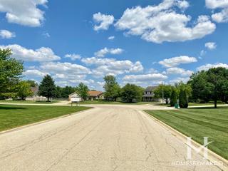 Chessington Grove West subdivision in New Lenox, IL