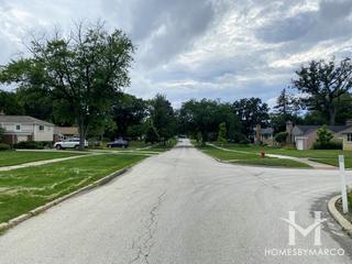 Forest Vista subdivision in Northbrook, IL