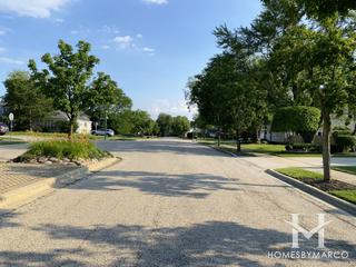 Wildebrook subdivision in Northbrook, IL