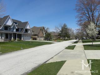 Northbrook Park subdivision in Northbrook, IL