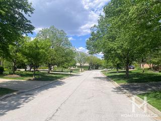 Trinity Lakes subdivision in Oak Brook, IL