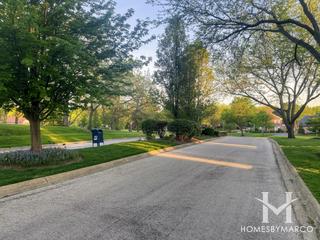 Saddle Brook subdivision in Oak Brook, IL
