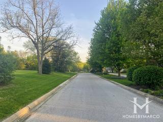 Saddle Brook subdivision in Oak Brook, IL