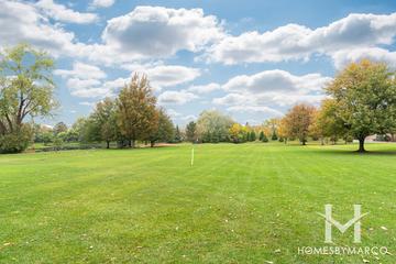 Briarwood Lakes subdivision in Oak Brook, IL