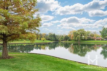 Briarwood Lakes subdivision in Oak Brook, IL