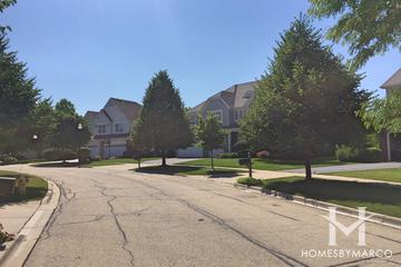 Royal St George subdivision in the Gregg's Landing neighborhood of Vernon Hills, IL