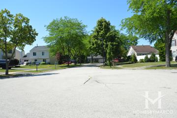 Photos of Menconis Villas subdivision in Vernon Hills, IL