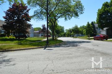 Menconis Villas subdivision in Vernon Hills, IL