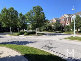 Renaissance Station subdivision in Willow Springs, IL