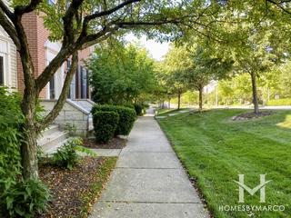 Renaissance Station subdivision in Willow Springs, IL