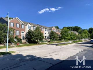 Renaissance Station subdivision in Willow Springs, IL