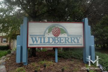 Wildberry subdivision in Streamwood, IL