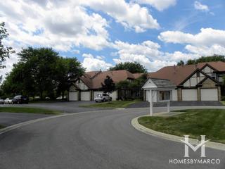 Wildberry subdivision in Streamwood, IL