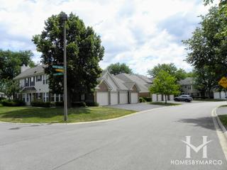 Wildberry subdivision in Streamwood, IL