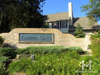 Laurel Oaks