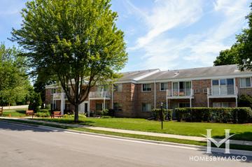 Maple Grove building in Downers Grove, IL