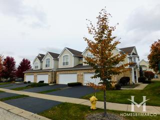 Mistee Ridge subdivision in Orland Park, IL