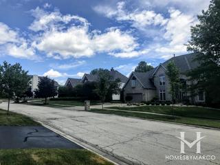 Somerglen subdivision in Orland Park, IL