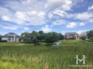 Somerglen subdivision in Orland Park, IL