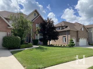 Hunter Point Estates subdivision in Orland Park, IL