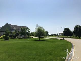 Henneberry Woods subdivision in Oswego, IL